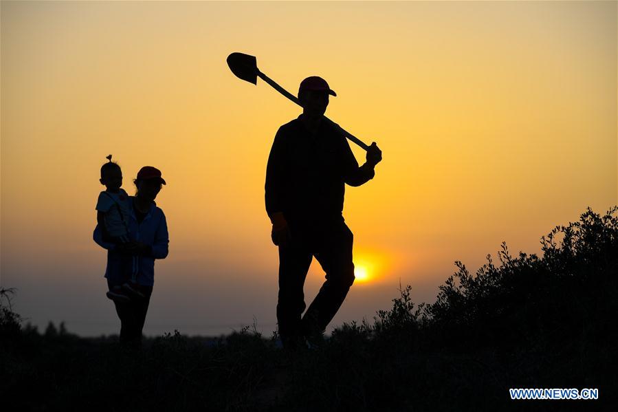 CHINA-INNER MONGOLIA-ALXA-FORESTATION (CN)