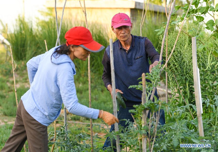 CHINA-INNER MONGOLIA-ALXA-FORESTATION (CN)