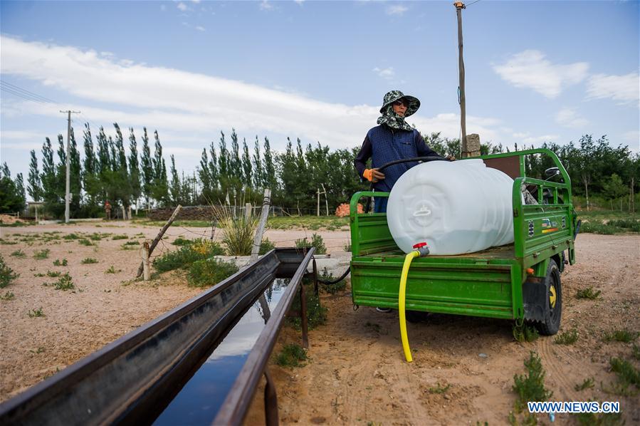 CHINA-INNER MONGOLIA-ALXA-FORESTATION (CN)