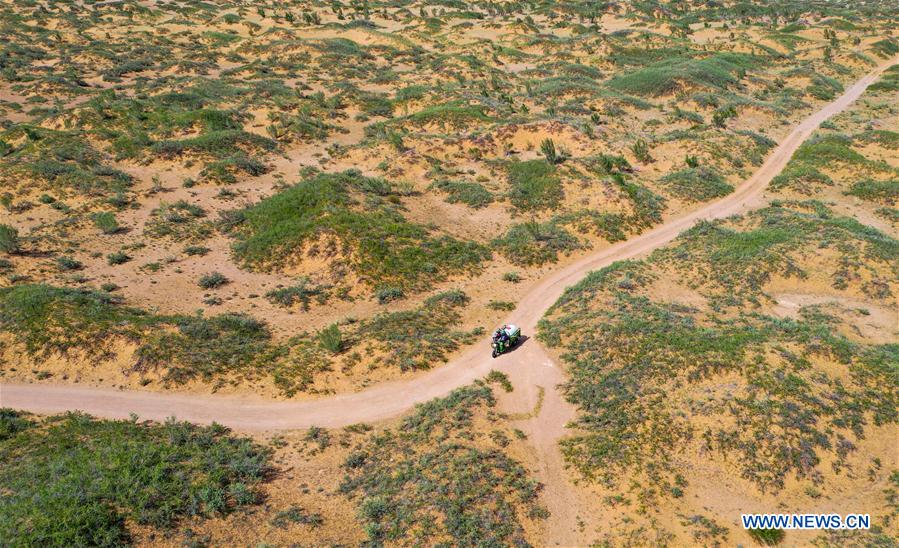 CHINA-INNER MONGOLIA-ALXA-FORESTATION (CN)