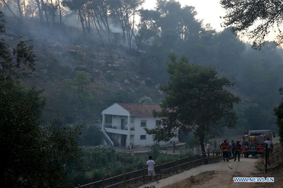 PORTUGAL-CASCAIS-WILD FIRE