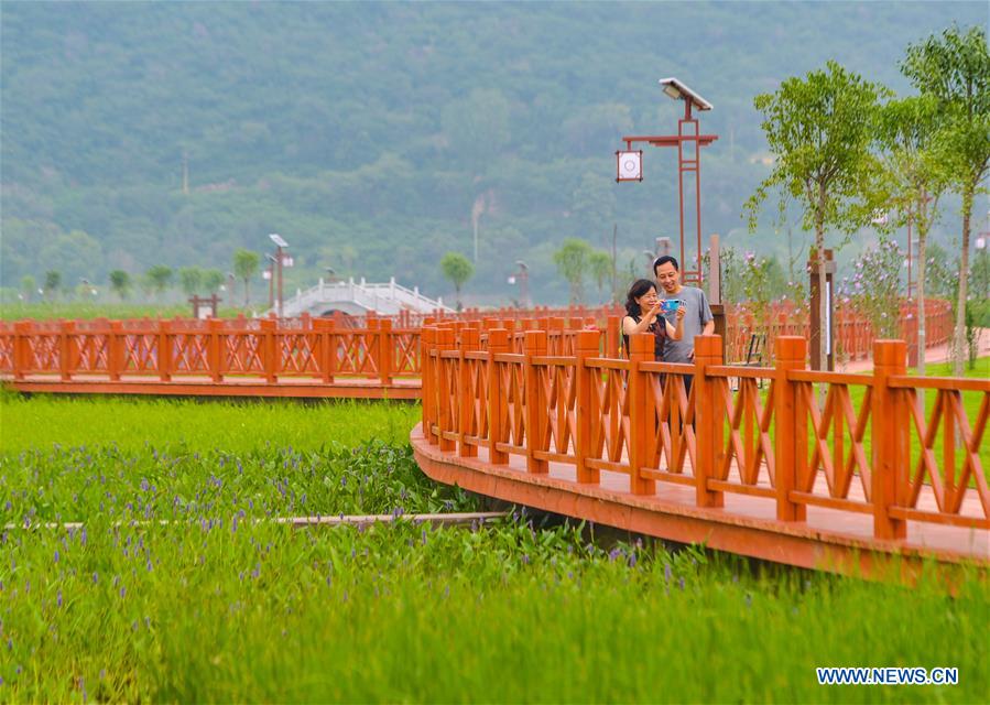 CHINA-HEBEI-SHEXIAN-QINGZHANG RIVER-IMPROVEMENT (CN)