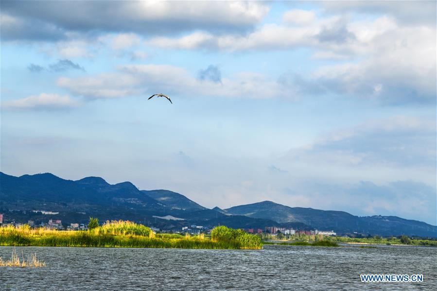 (FOCUS)CHINA-GUIZHOU-WEINING-NATURE RESERVE-ECOLOGICAL MANAGEMENT (CN)