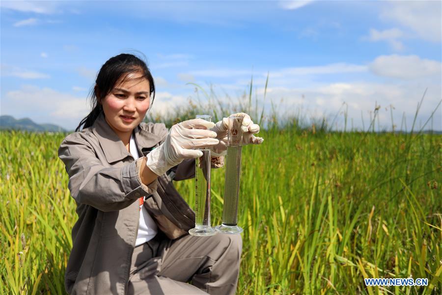 (FOCUS)CHINA-GUIZHOU-WEINING-NATURE RESERVE-ECOLOGICAL MANAGEMENT (CN)