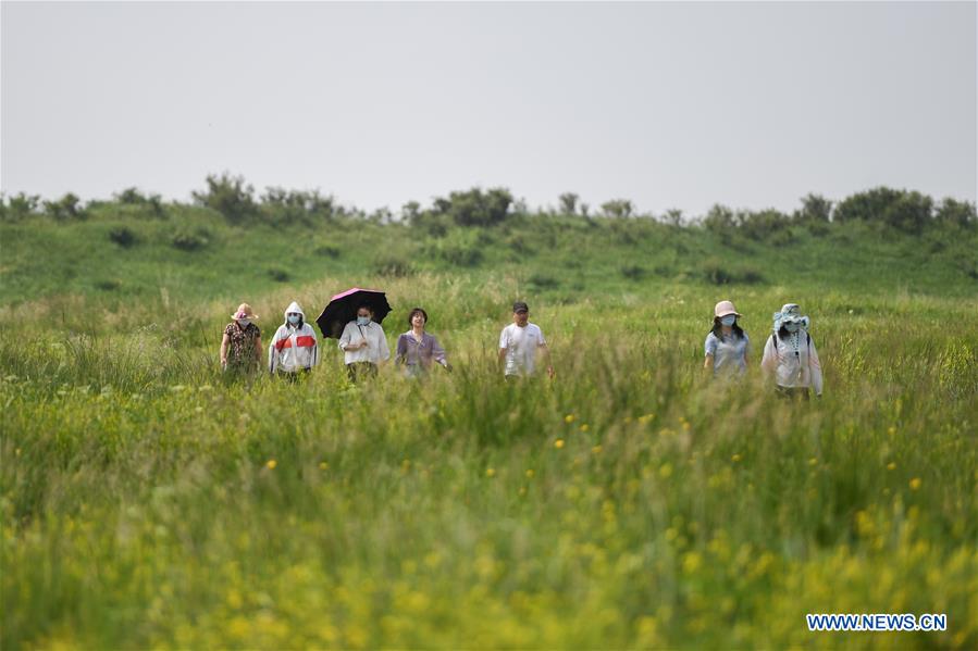 CHINA-INNER MONGOLIA-XILINGOL LEAGUE-PASTURE (CN)