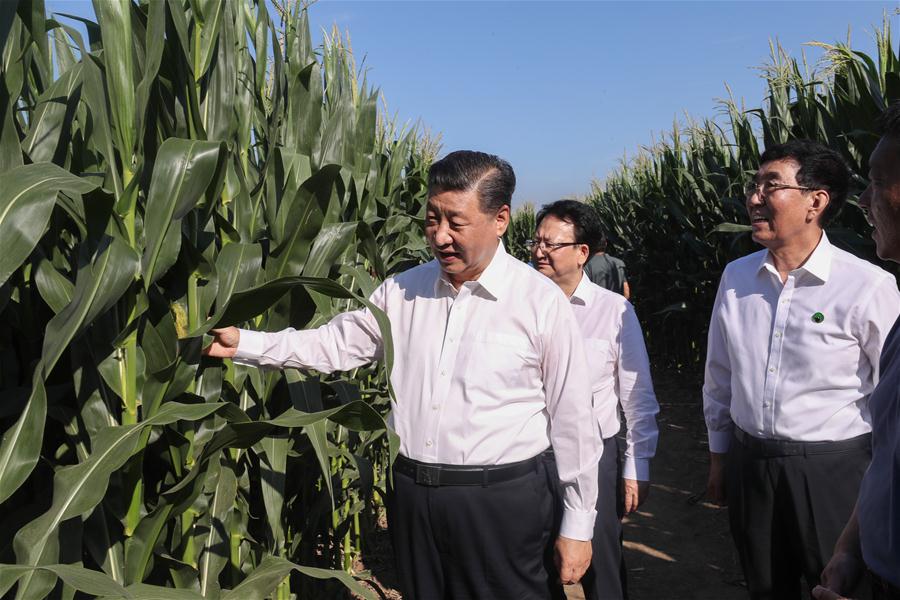 CHINA-JILIN-XI JINPING-INSPECTION (CN)