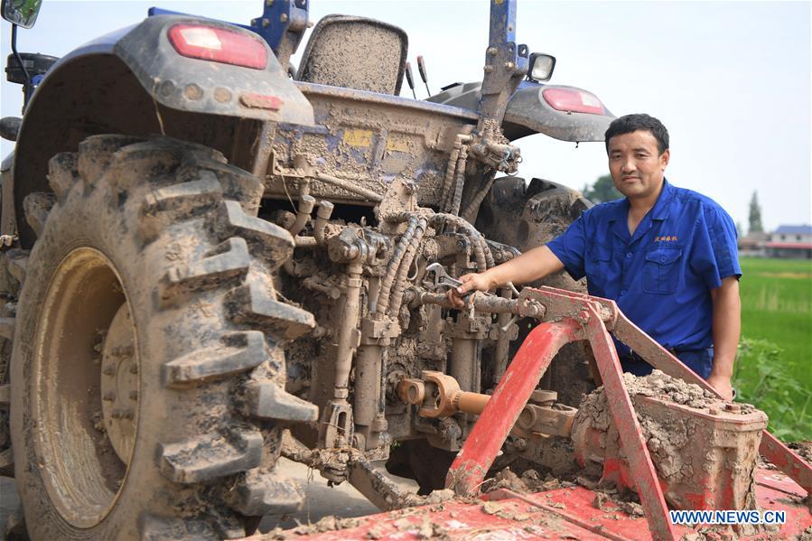 CHINA-HUNAN-YIYANG-EARLY RICE HARVEST-LATE RICE PLANTING(CN)