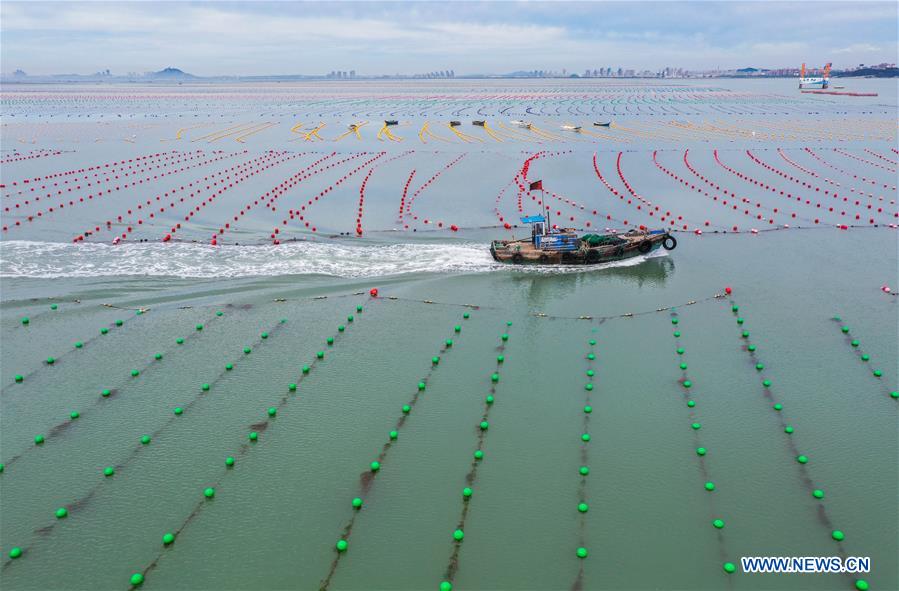 #CHINA-SHANDONG-RONGCHENG-AQUACULTURE (CN)