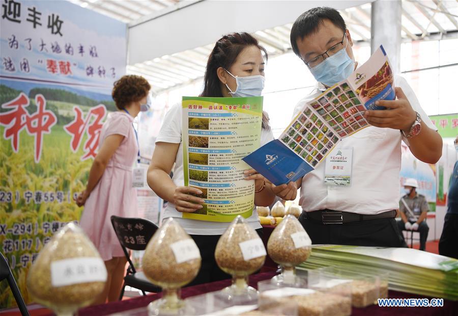 CHINA-NINGXIA-SHIZUISHAN-SEEDS EXPO (CN)