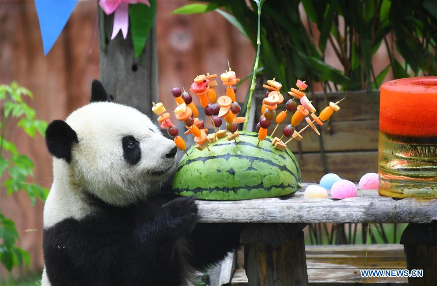 CHINA-JILIN-GIANT PANDAS-BIRTHDAY (CN)