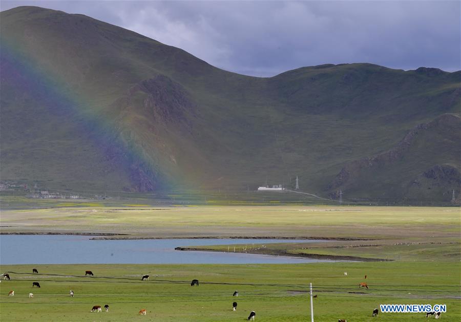 CHINA-TIBET-YAMZHO YUMCO-SCENERY(CN)