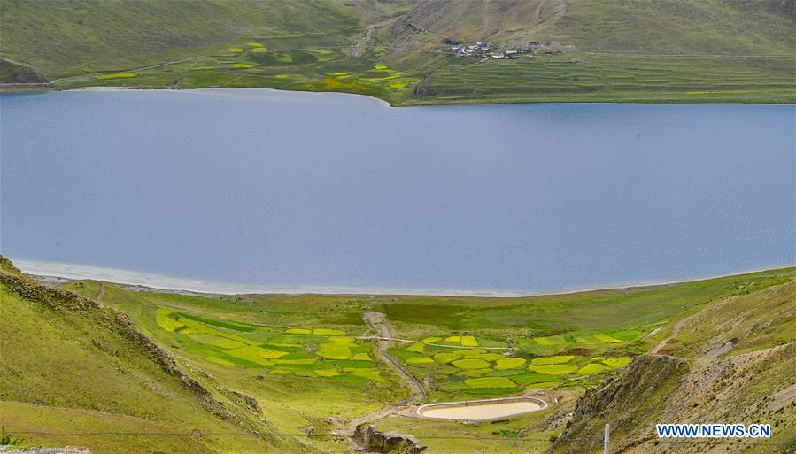 CHINA-TIBET-YAMZHO YUMCO-SCENERY(CN)