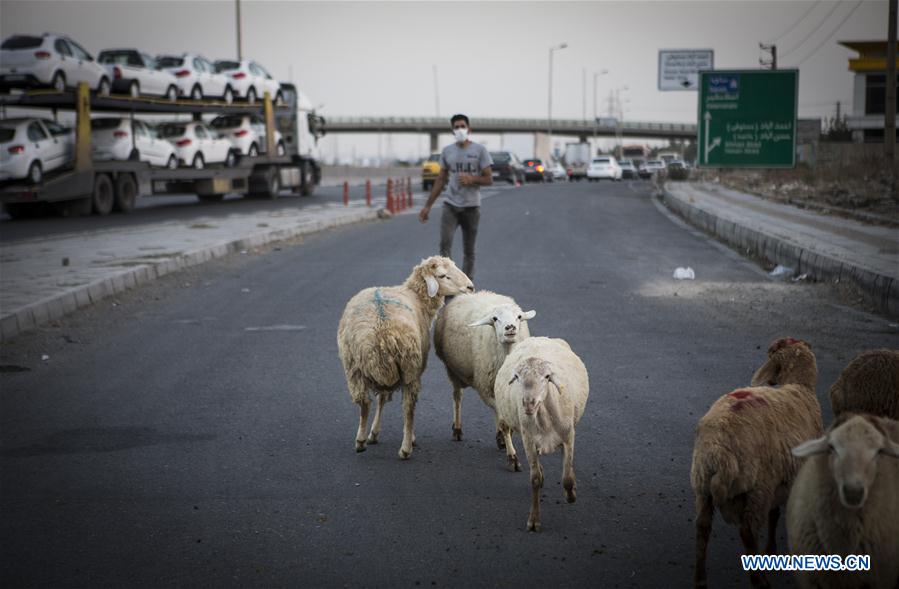 IRAN-TEHRAN-EID AL-ADHA-LIVESTOCK MARKET