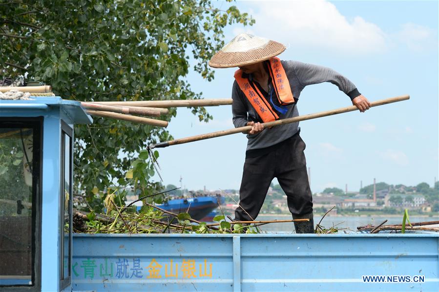 CHINA-HUNAN-CHANGSHA-XIANGJIANG RIVER-CLEANUP (CN)