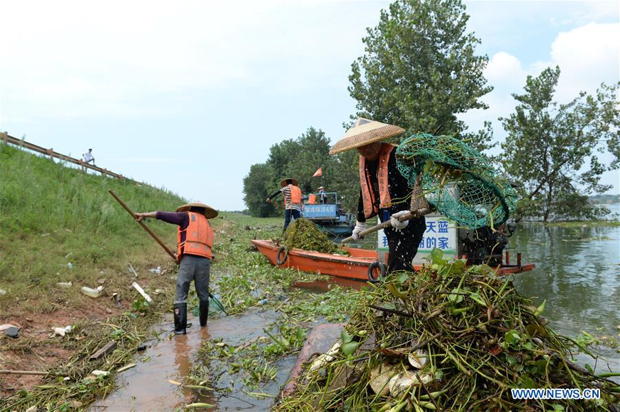 CHINA-HUNAN-CHANGSHA-XIANGJIANG RIVER-CLEANUP (CN)