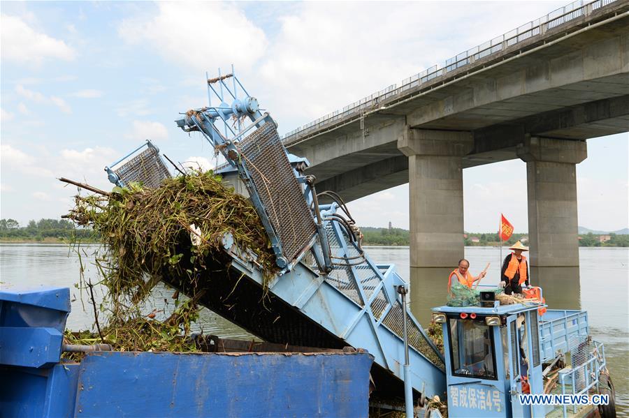 CHINA-HUNAN-CHANGSHA-XIANGJIANG RIVER-CLEANUP (CN)