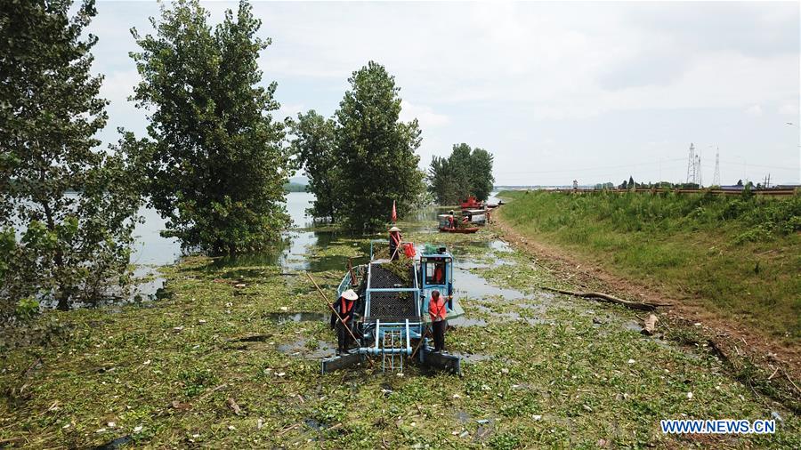 CHINA-HUNAN-CHANGSHA-XIANGJIANG RIVER-CLEANUP (CN)