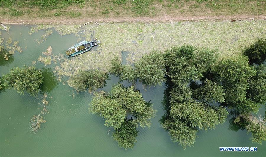 CHINA-HUNAN-CHANGSHA-XIANGJIANG RIVER-CLEANUP (CN)