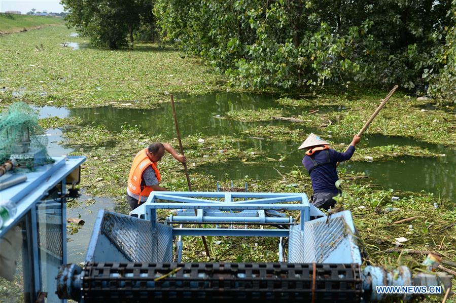 CHINA-HUNAN-CHANGSHA-XIANGJIANG RIVER-CLEANUP (CN)