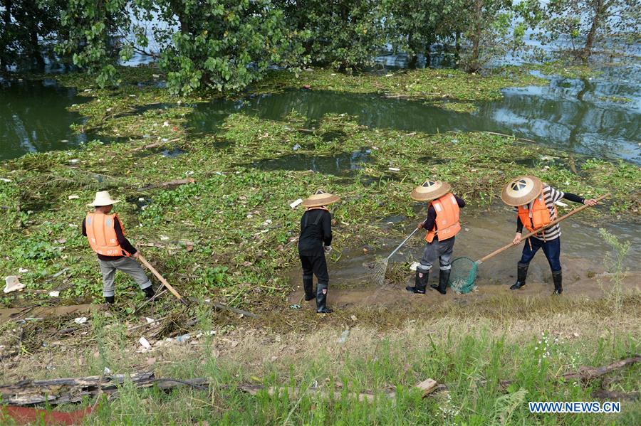 CHINA-HUNAN-CHANGSHA-XIANGJIANG RIVER-CLEANUP (CN)