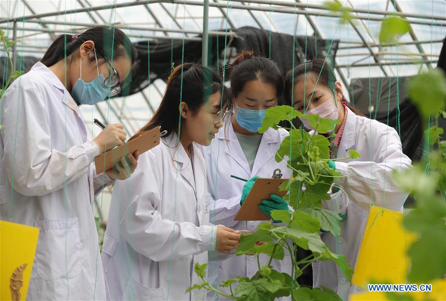 CHINA-LIAONING-SHENYANG-AGRICULTURE-EDUCATION (CN)