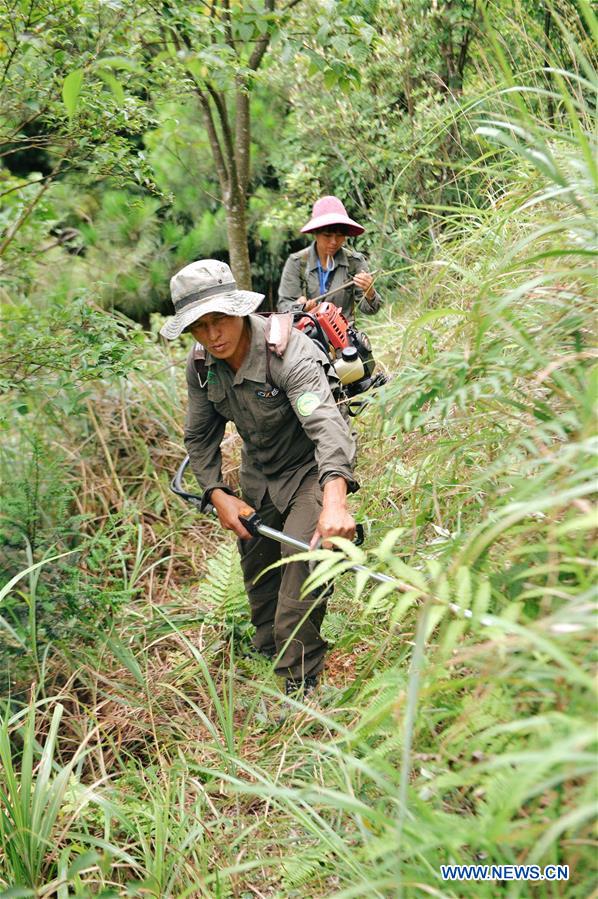 CHINA-GUANGXI-JINXIU-FOREST RANGERS (CN)