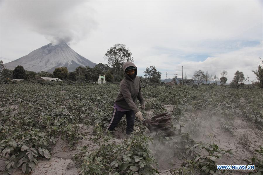 INDONESIA-NORTH SUMATRA-MOUNT SINABUNG-ERUPTION-AFTERMATH