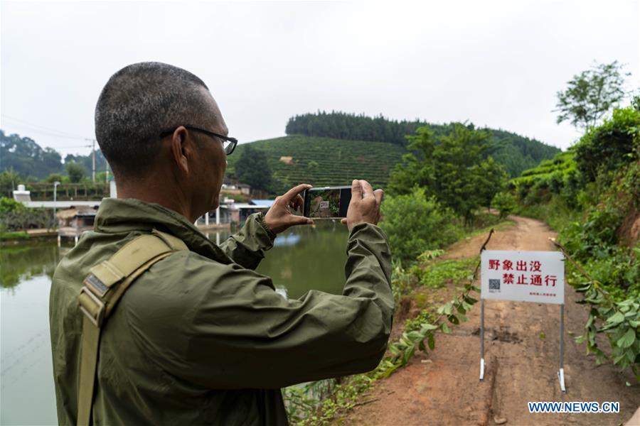 CHINA-YUNNAN-WILD ASIAN ELEPHANT-TRACKER (CN)