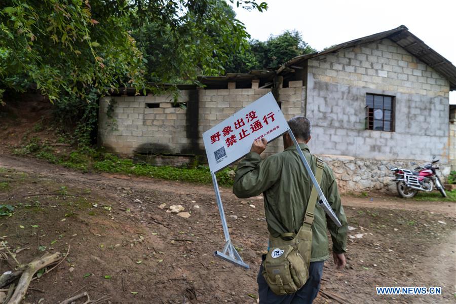 CHINA-YUNNAN-WILD ASIAN ELEPHANT-TRACKER (CN)