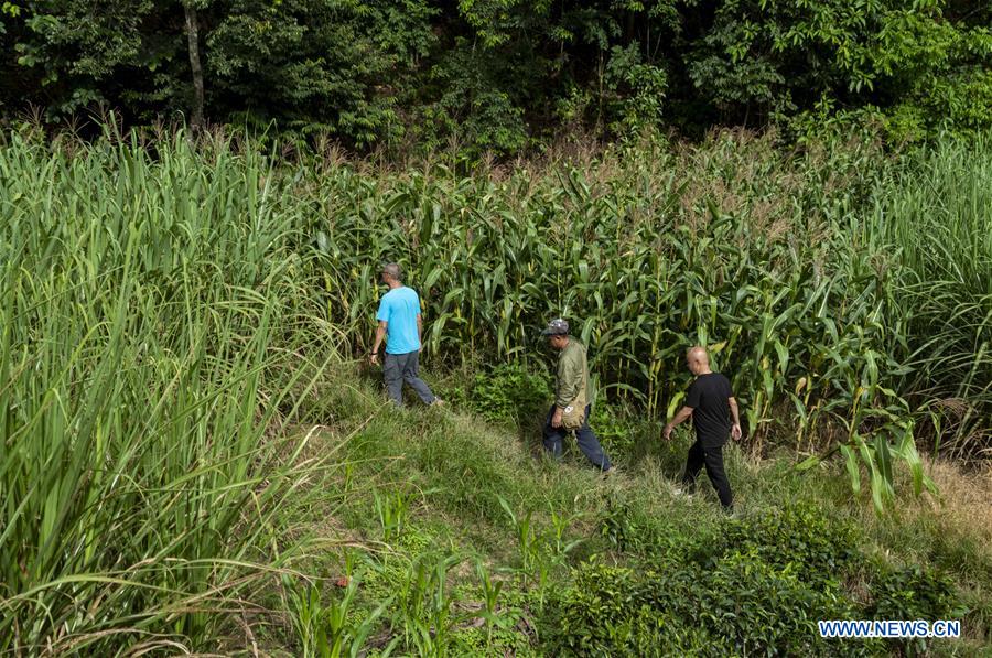 CHINA-YUNNAN-WILD ASIAN ELEPHANT-TRACKER (CN)