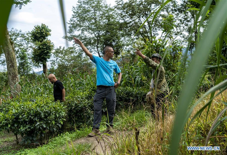 CHINA-YUNNAN-WILD ASIAN ELEPHANT-TRACKER (CN)