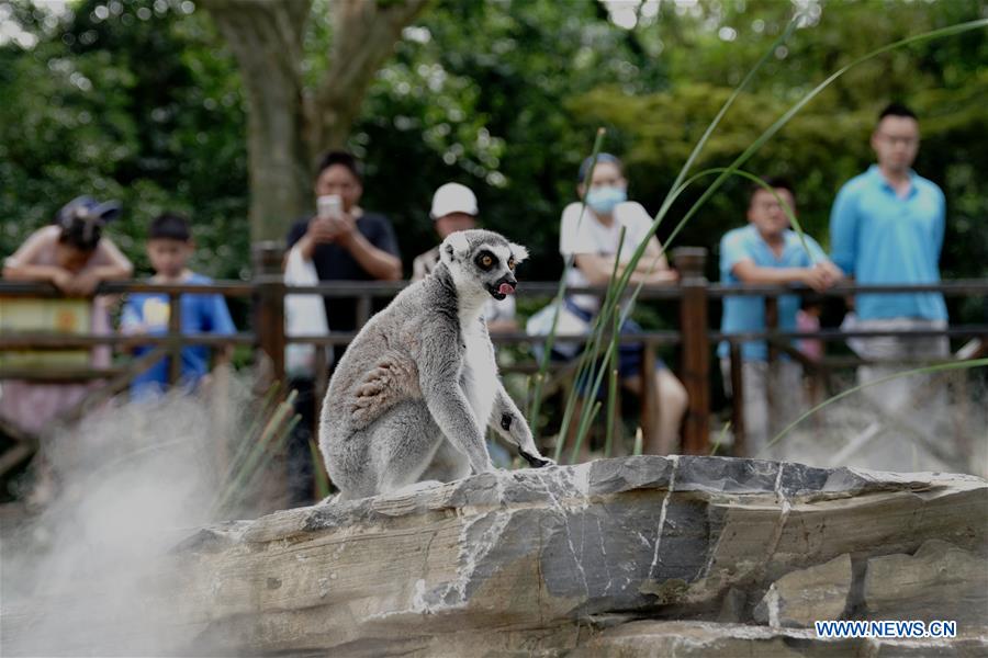 CHINA-SHANGHAI-HOT WEATHER-ANIMAL(CN)