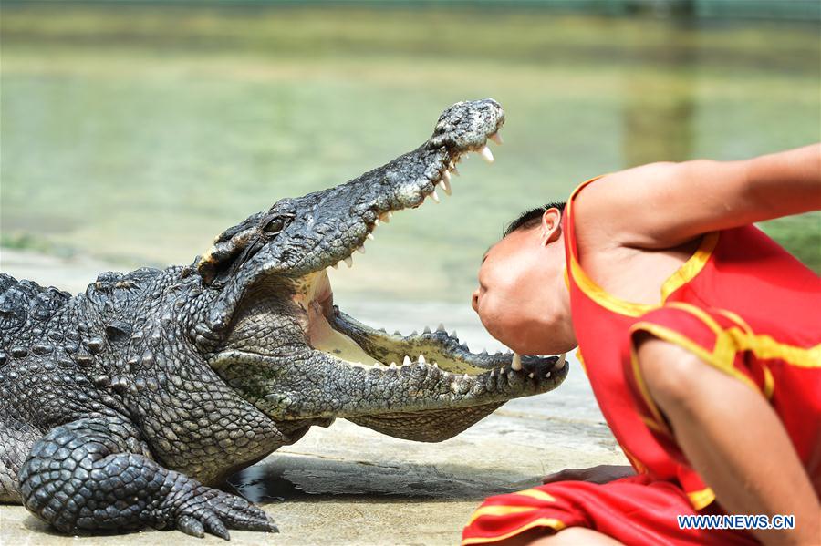 THAILAND-BANGKOK-CROCODILE-SHOW