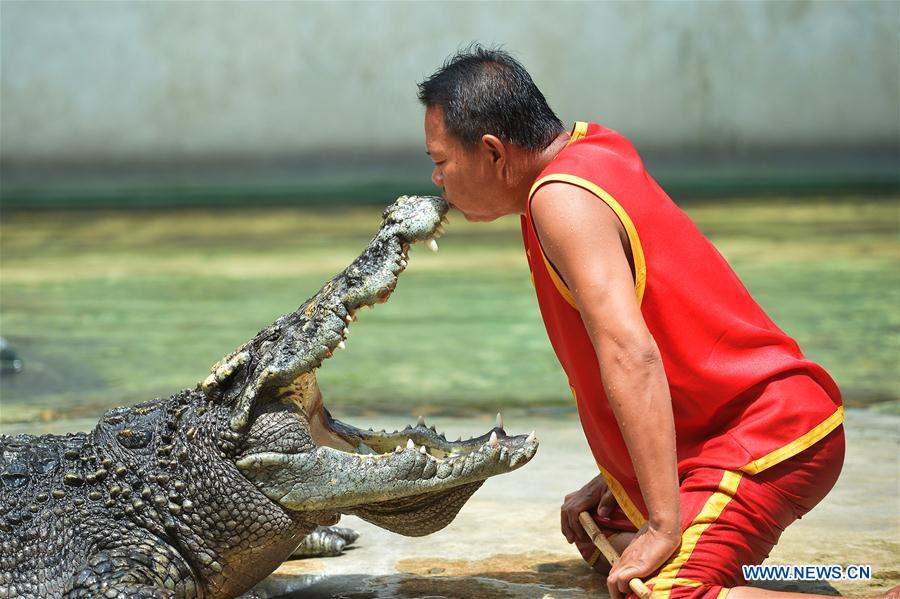 THAILAND-BANGKOK-CROCODILE-SHOW