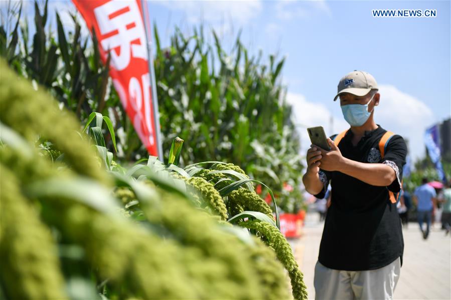 CHINA-JILIN-CHANGCHUN-AGRICULTURE AND FOOD EXPO(CN)