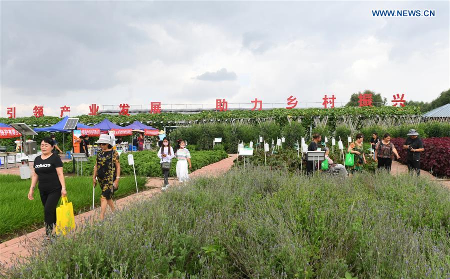 CHINA-JILIN-CHANGCHUN-AGRICULTURE AND FOOD EXPO(CN)