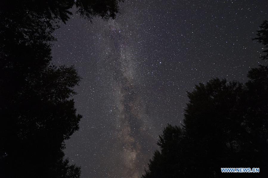 in pics: starry sky over forest park in fuyuan, heilongjiang