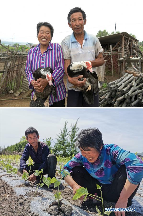 CHINA-HEILONGJIANG-VILLAGE-POVERTY ALLEVIATION (CN)