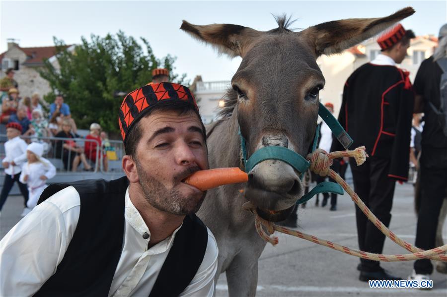 CROATIA-TRIBUNJ-DONKEY RACE