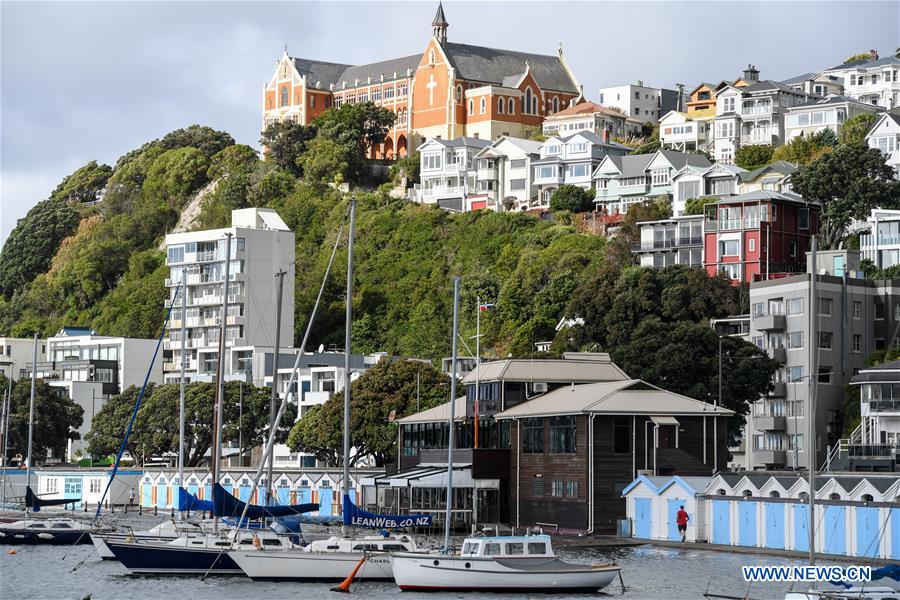 (CitySketch)NEW ZEALAND-WELLINGTON