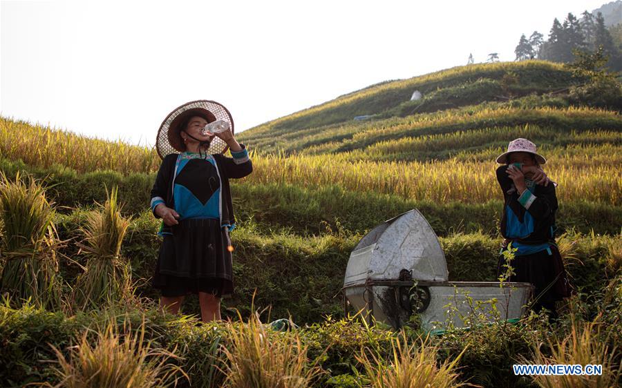 CHINA-GUIZHOU-CONGJIANG COUNTY-TERRACED FIELDS (CN)