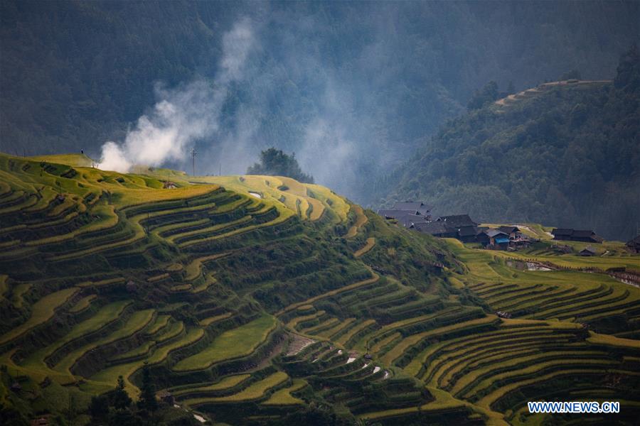 CHINA-GUIZHOU-CONGJIANG COUNTY-TERRACED FIELDS (CN)