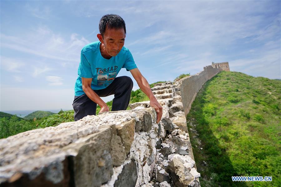 CHINA-HEBEI-QIAN'AN-GREAT WALL PROTECTOR (CN)