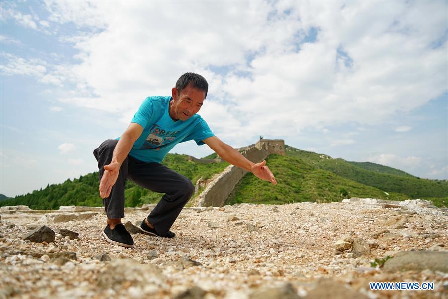 CHINA-HEBEI-QIAN'AN-GREAT WALL PROTECTOR (CN)