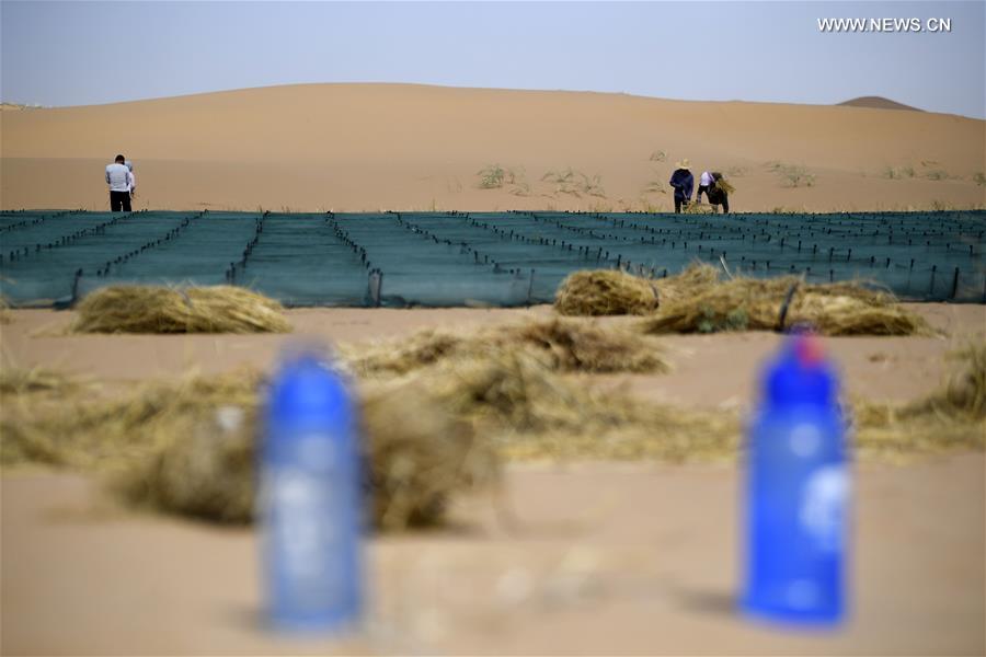 CHINA-NINGXIA-DESERTIFICATION CONTROL-HIGHWAY (CN)