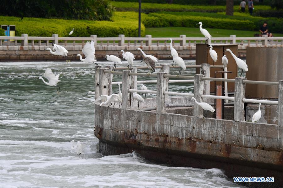 CHINA-FUJIAN-XIAMEN-YUNDANG LAKE-ENVIRONMENT (CN)