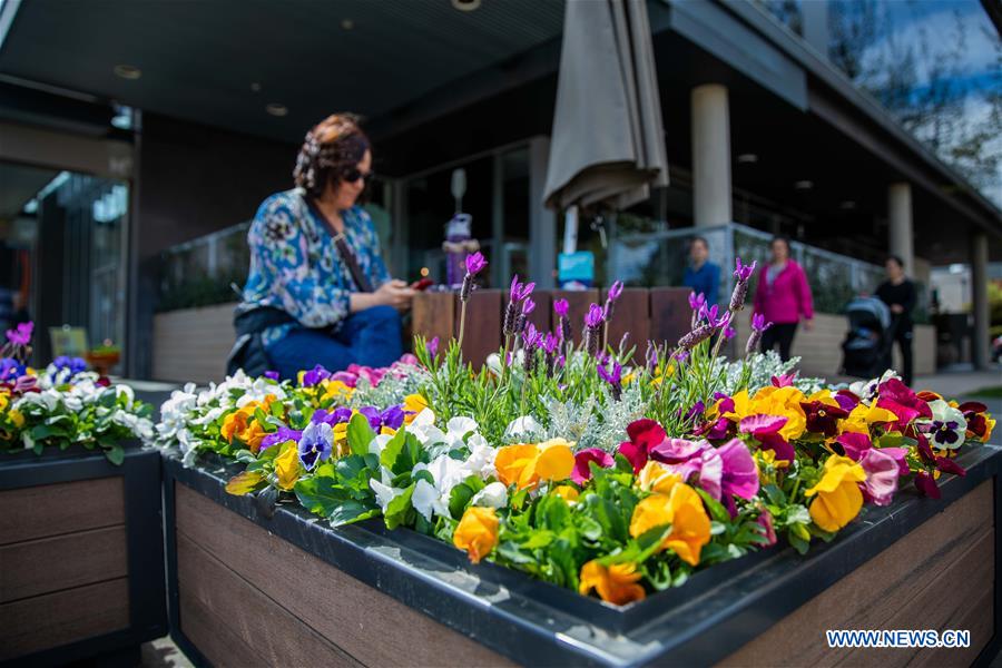 AUSTRALIA-CANBERRA-FLOWER FESTIVAL