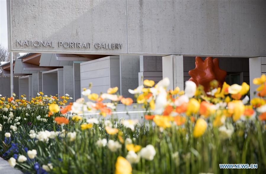 AUSTRALIA-CANBERRA-FLOWER FESTIVAL