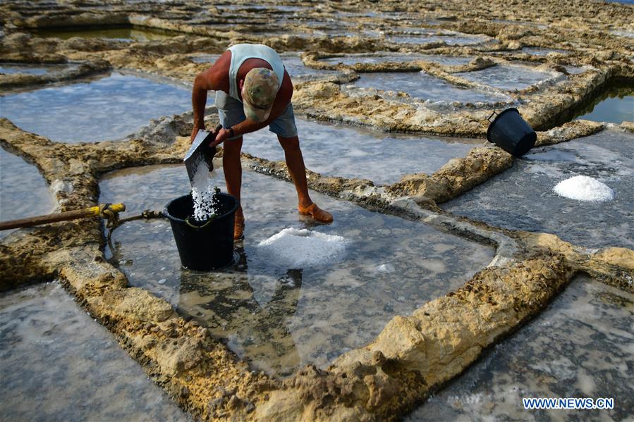 MALTA-GOZO-SEA SALT-HARVEST