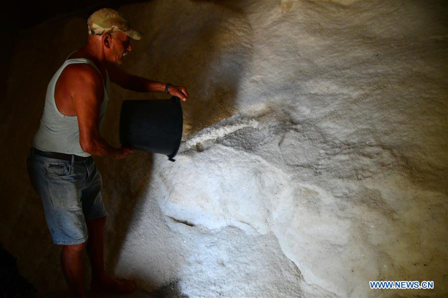 MALTA-GOZO-SEA SALT-HARVEST